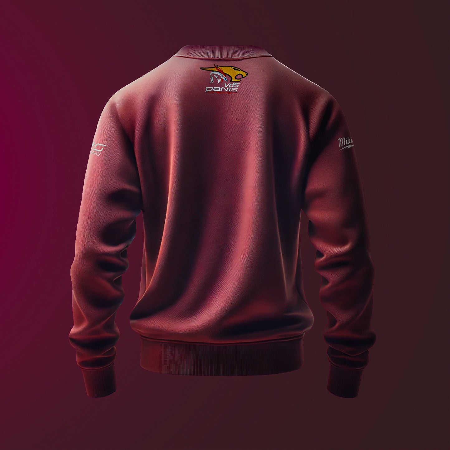 SWEAT VDS PANIS RACING 2025